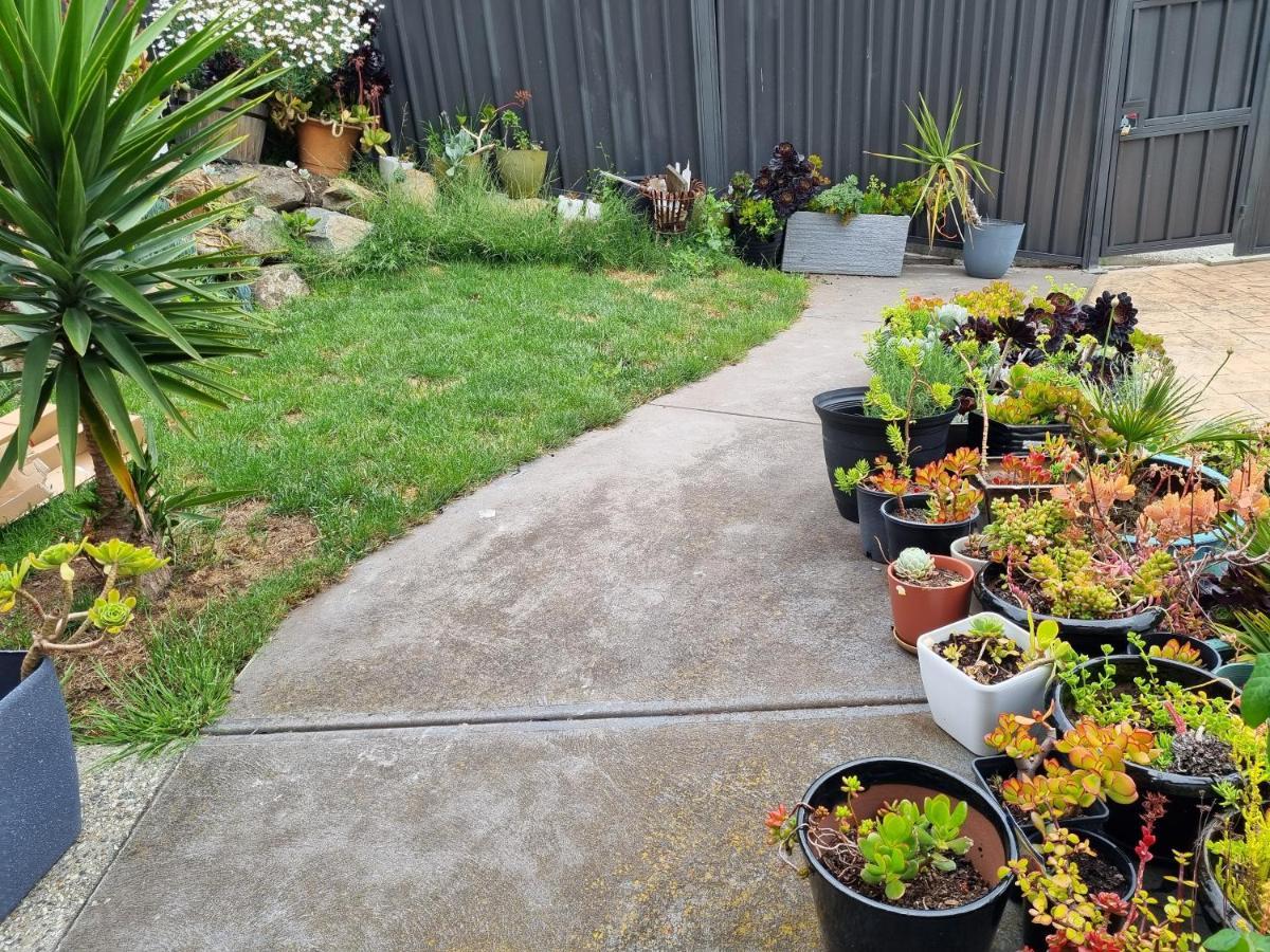 Lords Rest Apartment - Private And Central With Free Parking And Great Wifi Hobart Exteriör bild